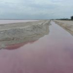 Lac Rose du Mexique