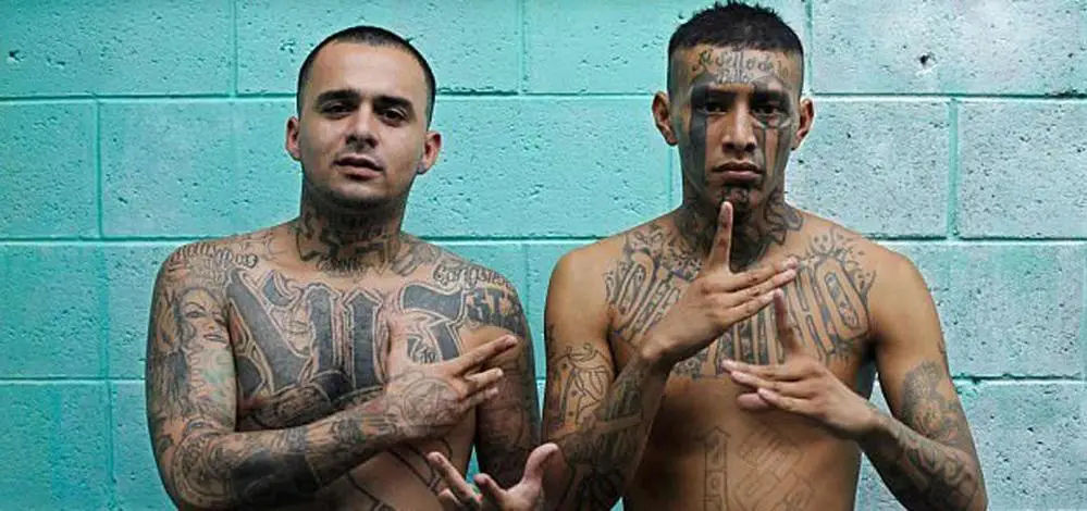 Les 10 Gangs Les Plus Dangereux Du Monde Blog Mexique