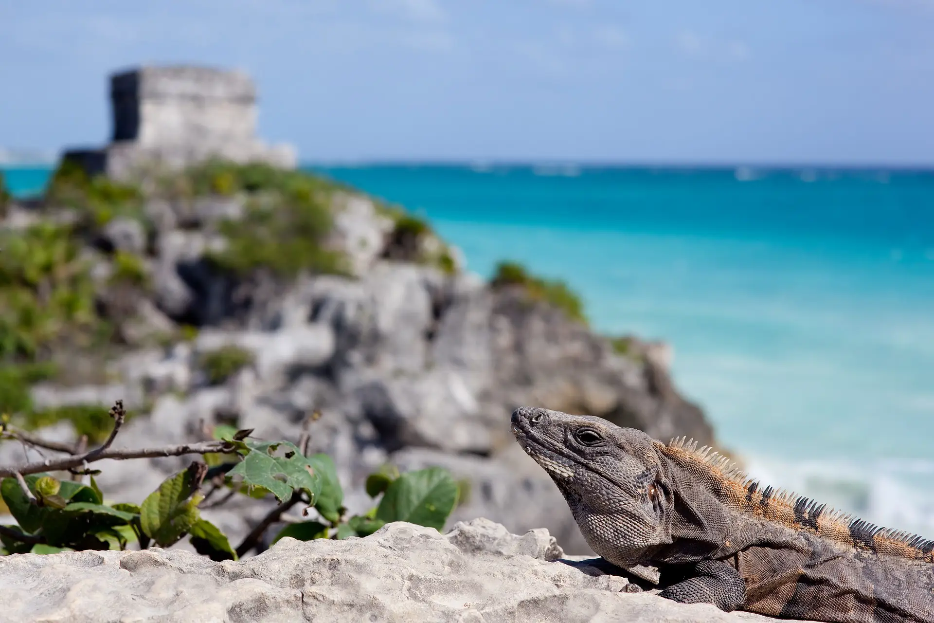 Heures De Vol Paris Tulum